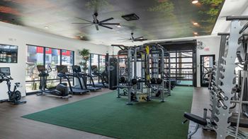 a gym with cardio machines and weights on a green rug at Weylyn Luxury Apartments, Laveen, Arizona